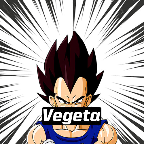 Vegeta Workout Clothes